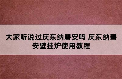 大家听说过庆东纳碧安吗 庆东纳碧安壁挂炉使用教程